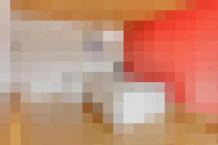 De Hoogstraat 3 Vlijmen thumbnail 30