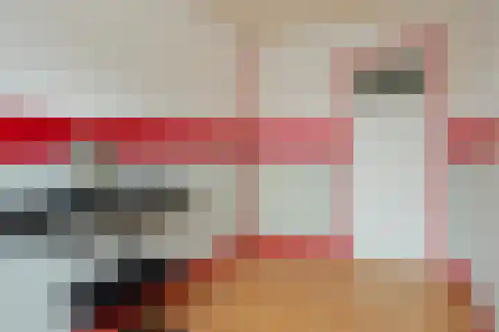 De Hoogstraat 3 Vlijmen thumbnail 32