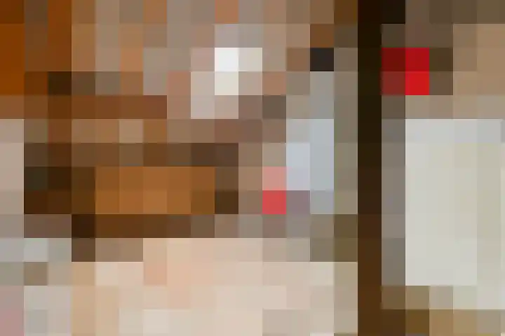 De Hoogstraat 3 Vlijmen thumbnail 33