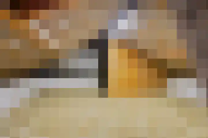 De Hoogstraat 3 Vlijmen thumbnail 34