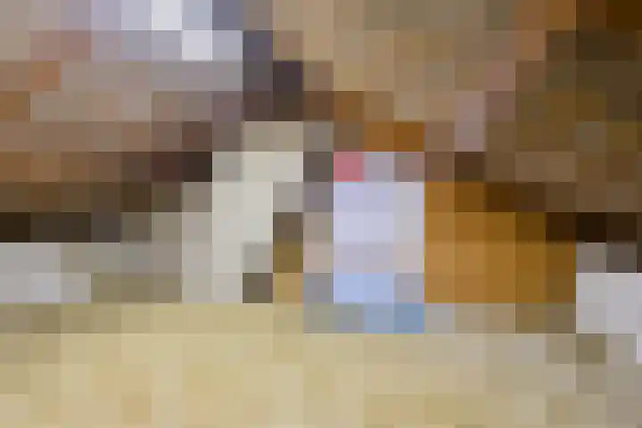 De Hoogstraat 3 Vlijmen thumbnail 35
