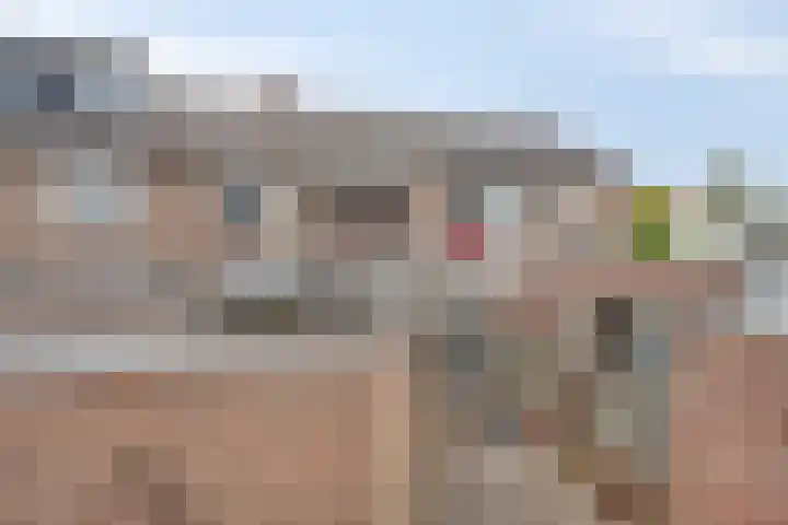 De Hoogstraat 3 Vlijmen thumbnail 38