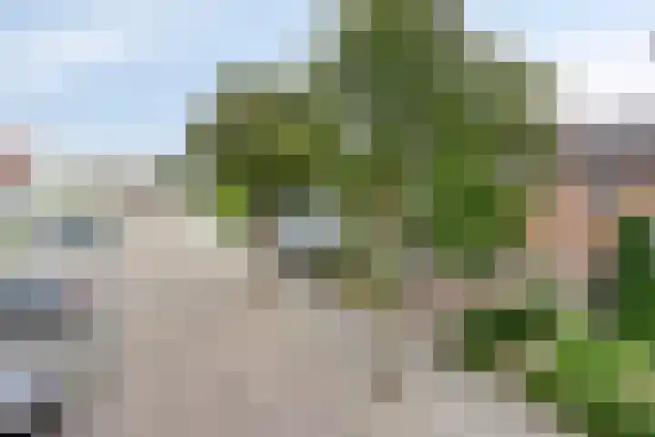 De Hoogstraat 3 Vlijmen thumbnail 39