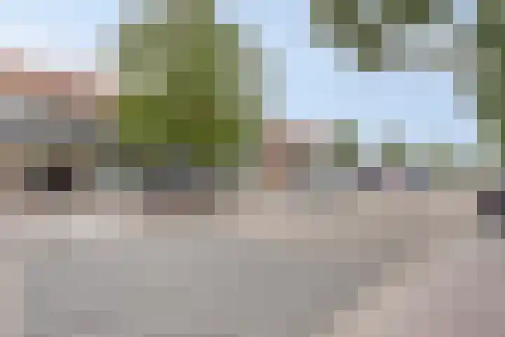 De Hoogstraat 3 Vlijmen thumbnail 42