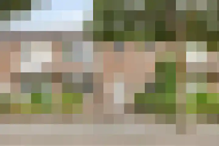 De Hoogstraat 3 Vlijmen thumbnail 48