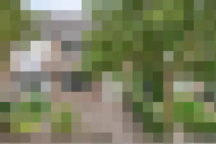 De Hoogstraat 3 Vlijmen thumbnail 5
