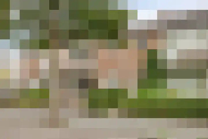 De Hoogstraat 3 Vlijmen thumbnail 7