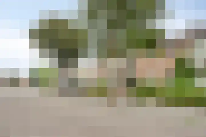 De Hoogstraat 3 Vlijmen thumbnail 8