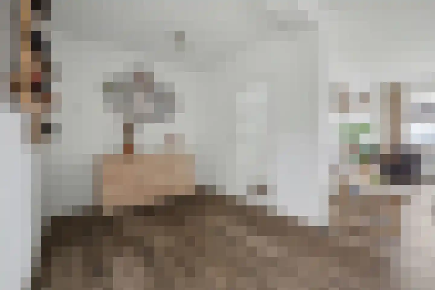De Hoogstraat 36 Vlijmen thumbnail 10