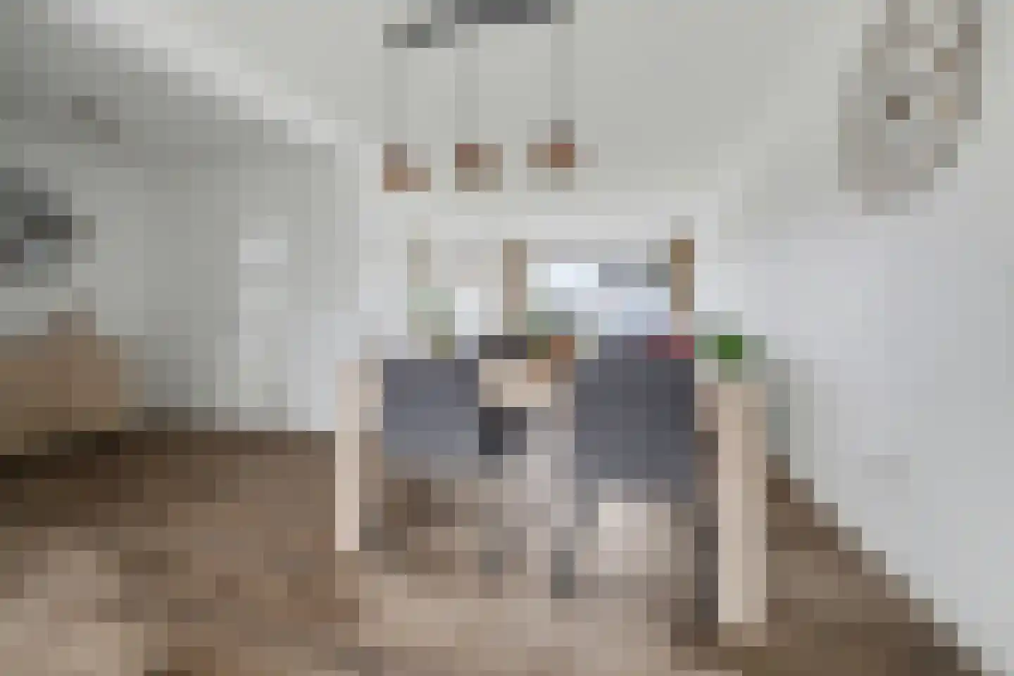 De Hoogstraat 36 Vlijmen thumbnail 11