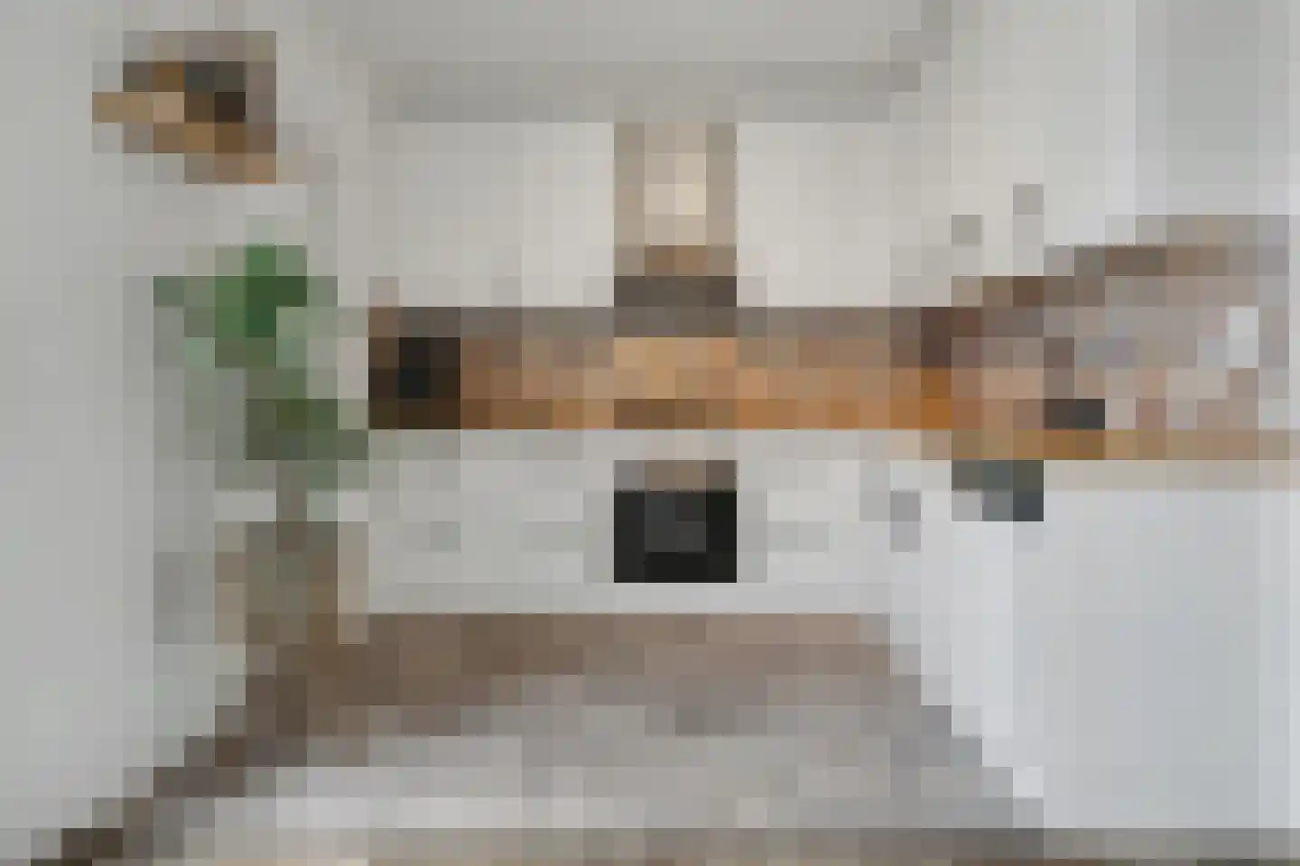 De Hoogstraat 36 Vlijmen thumbnail 12