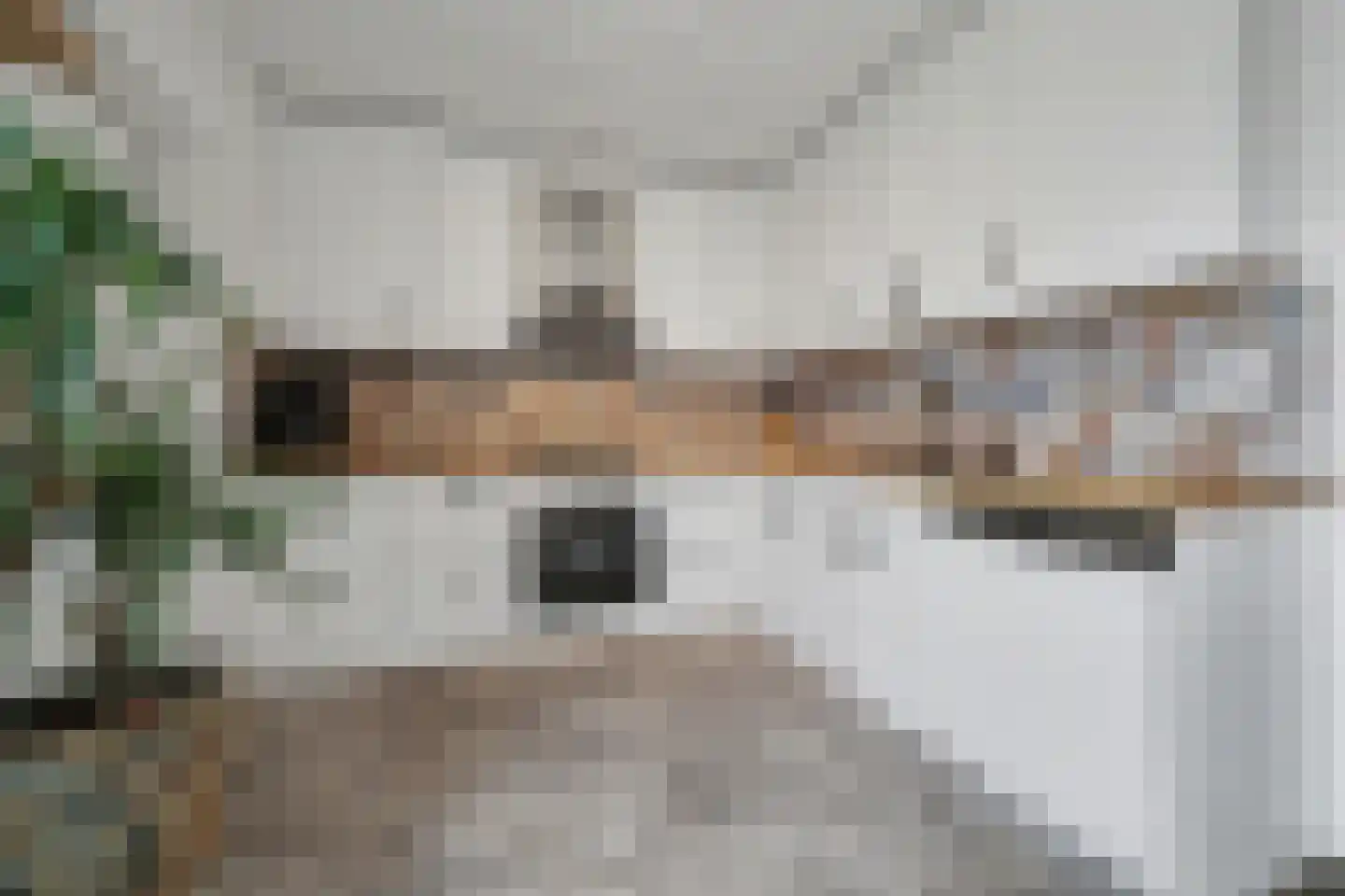 De Hoogstraat 36 Vlijmen thumbnail 13
