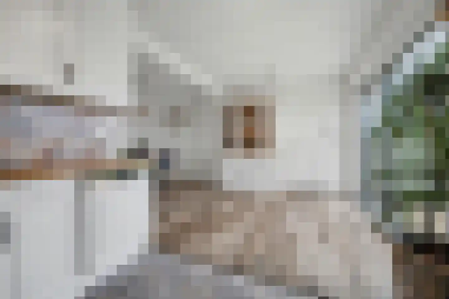 De Hoogstraat 36 Vlijmen thumbnail 16