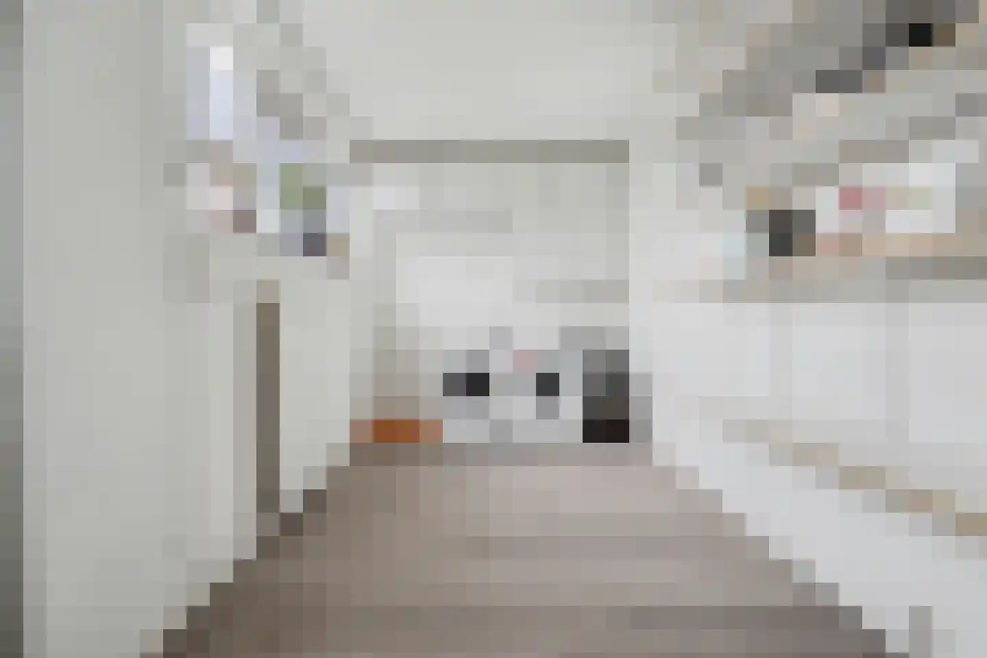 De Hoogstraat 36 Vlijmen thumbnail 17