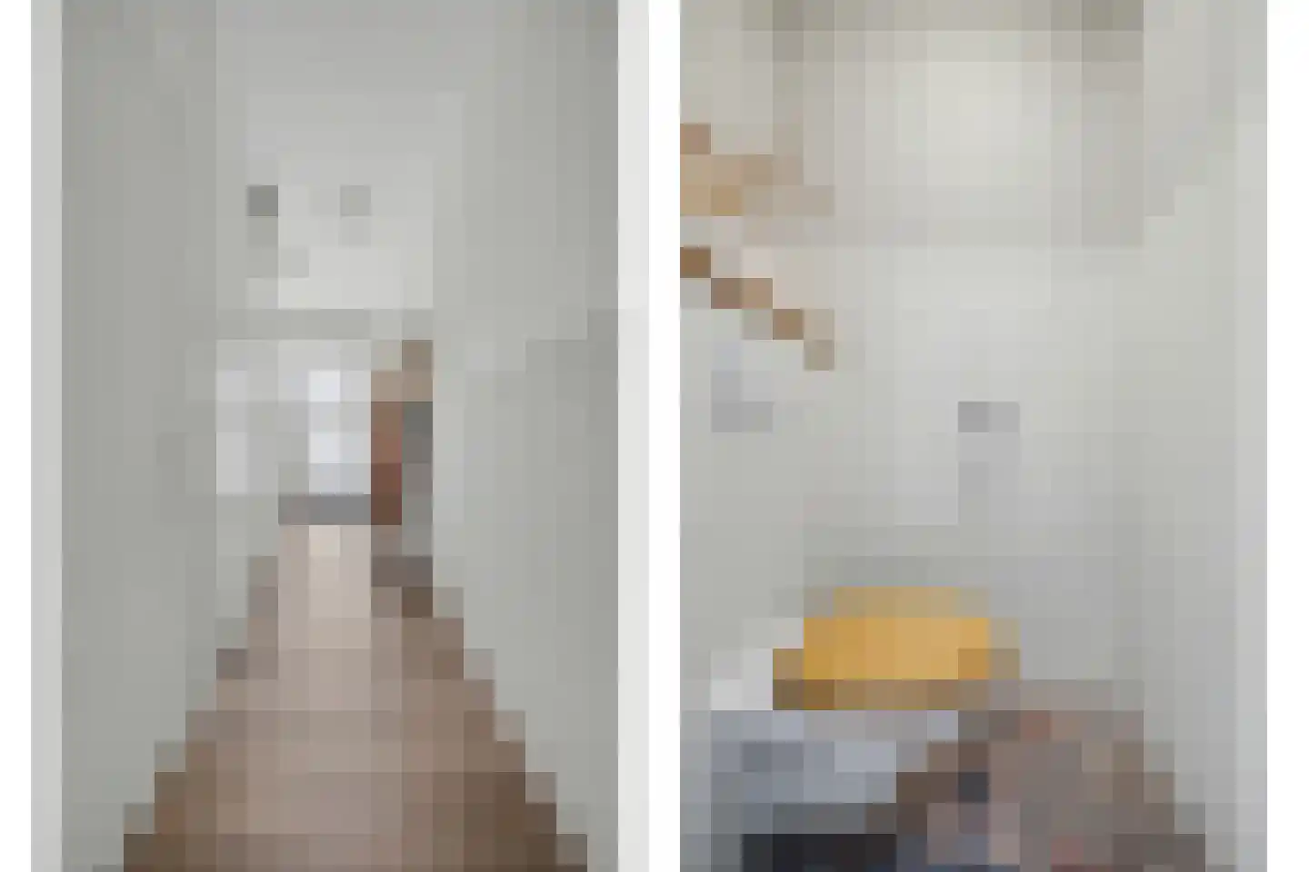 De Hoogstraat 36 Vlijmen thumbnail 20