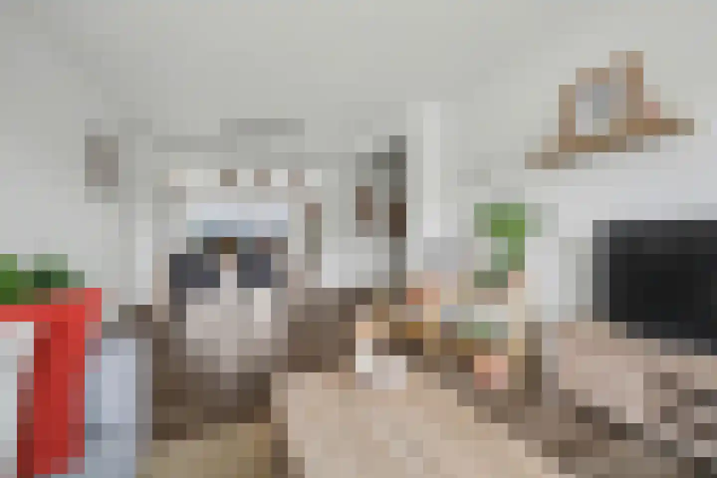De Hoogstraat 36 Vlijmen thumbnail 5