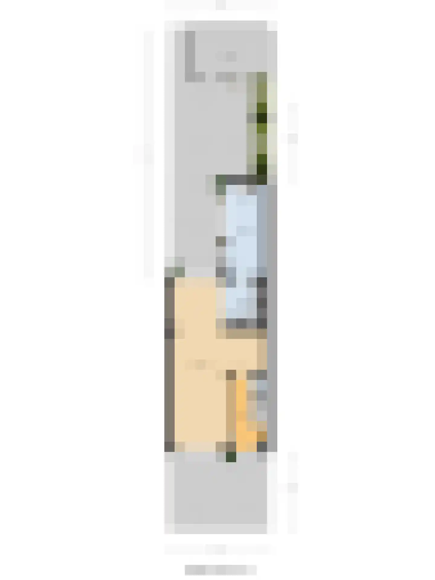 De Hoogstraat 36 Vlijmen thumbnail 58