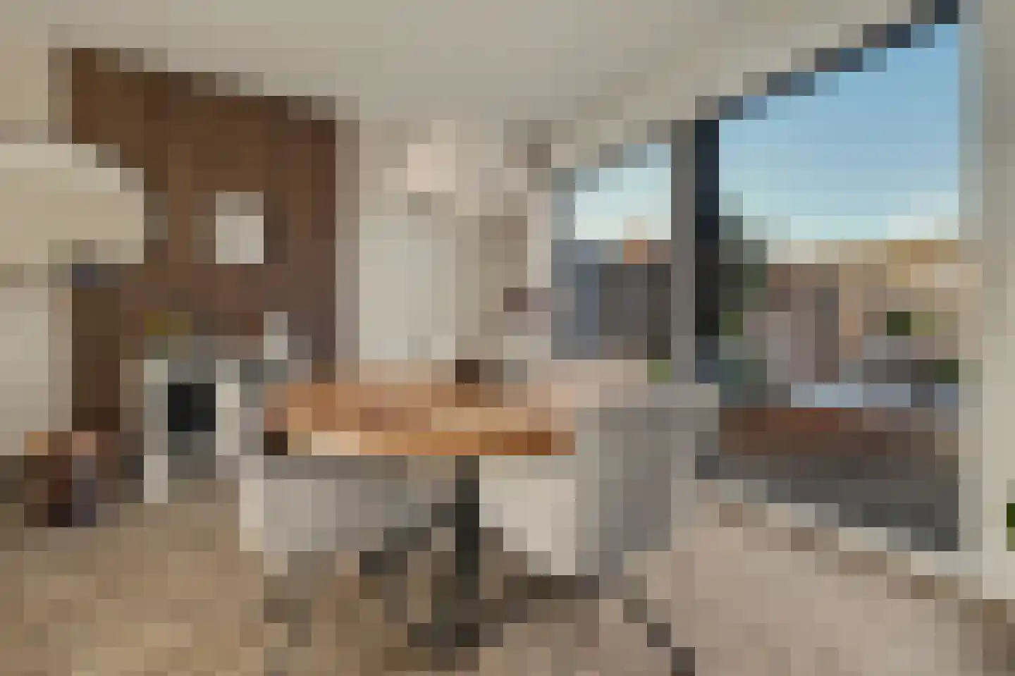 De Hoogstraat 4 Vlijmen thumbnail 10