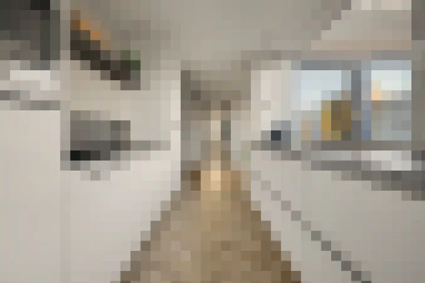 De Hoogstraat 4 Vlijmen thumbnail 14