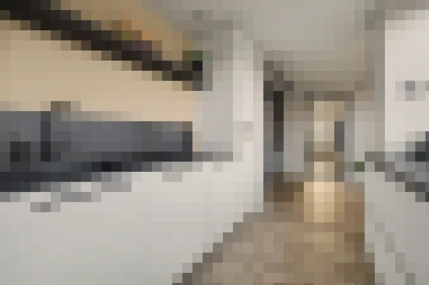 De Hoogstraat 4 Vlijmen thumbnail 15