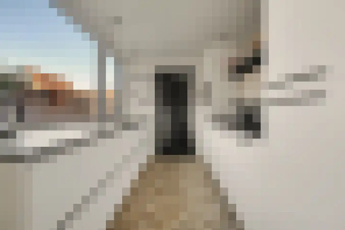 De Hoogstraat 4 Vlijmen thumbnail 16