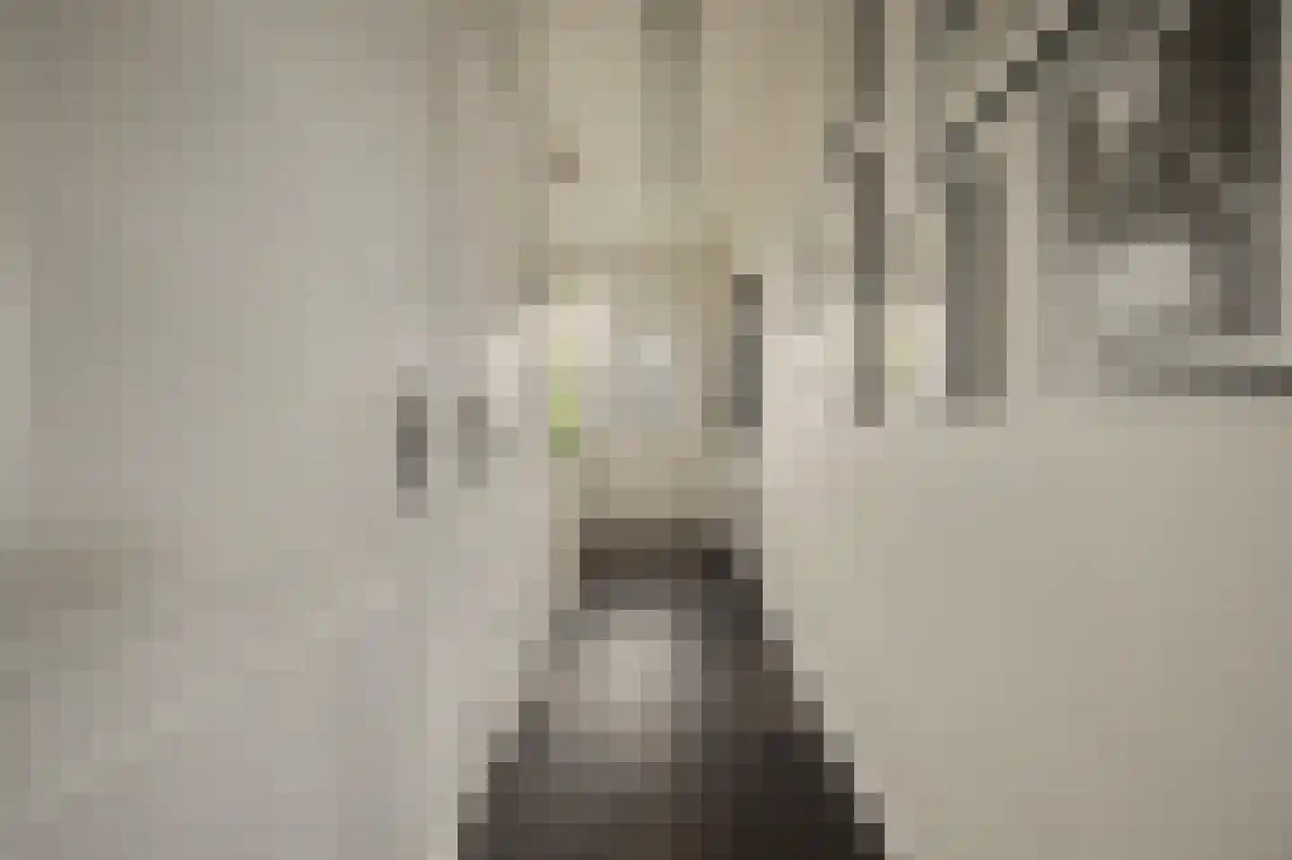 De Hoogstraat 4 Vlijmen thumbnail 19