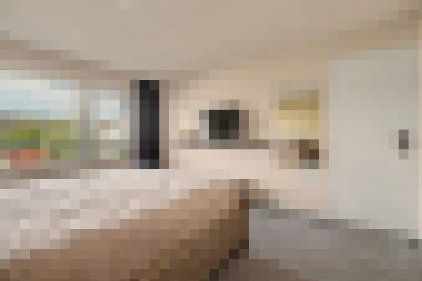 De Hoogstraat 4 Vlijmen thumbnail 23