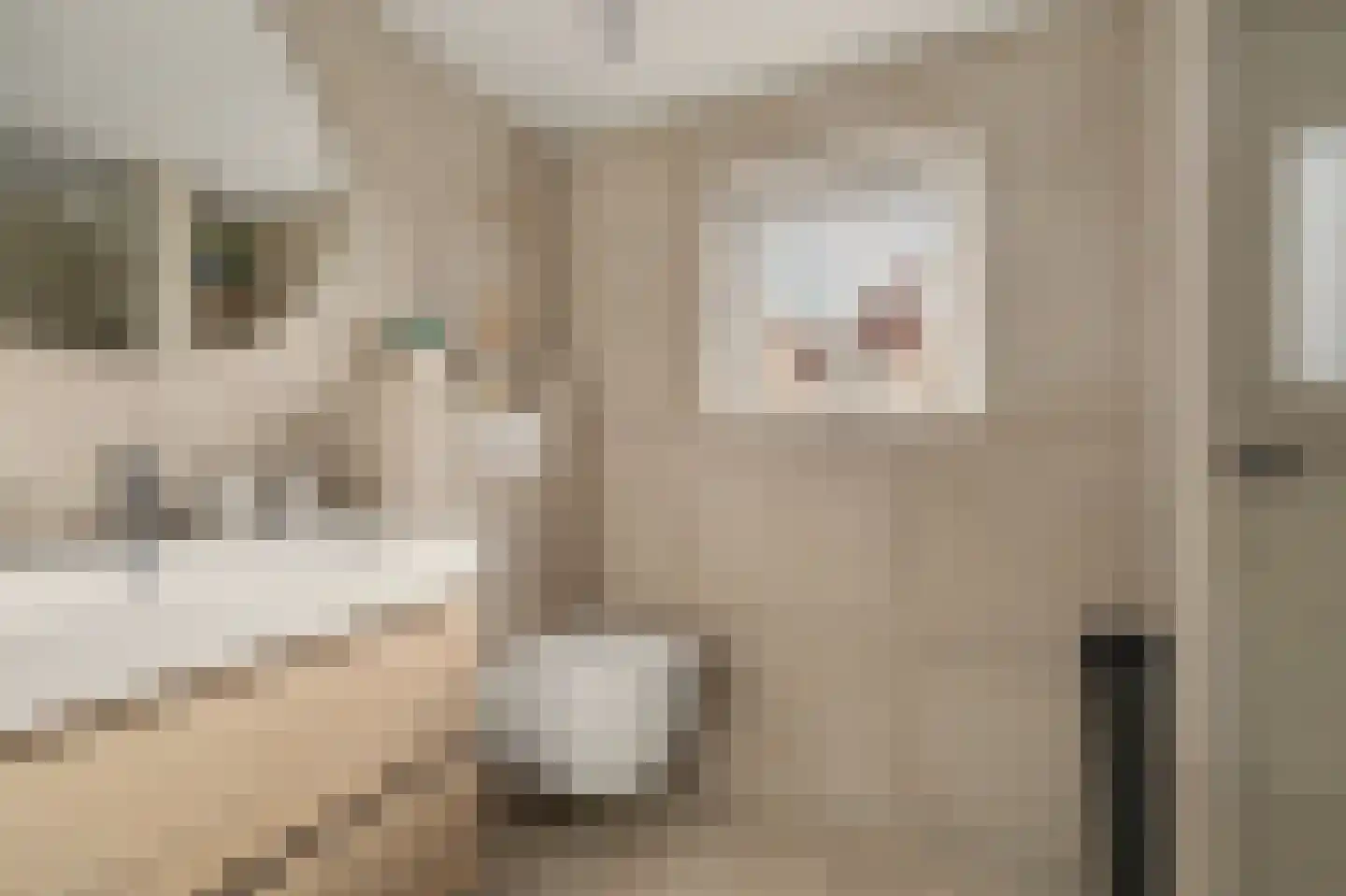 De Hoogstraat 4 Vlijmen thumbnail 24