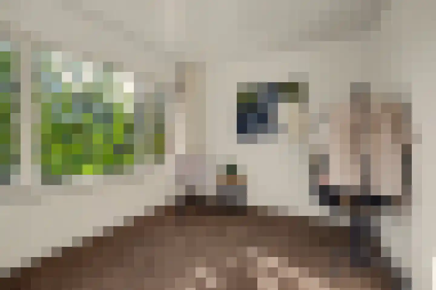 De Hoogstraat 4 Vlijmen thumbnail 27