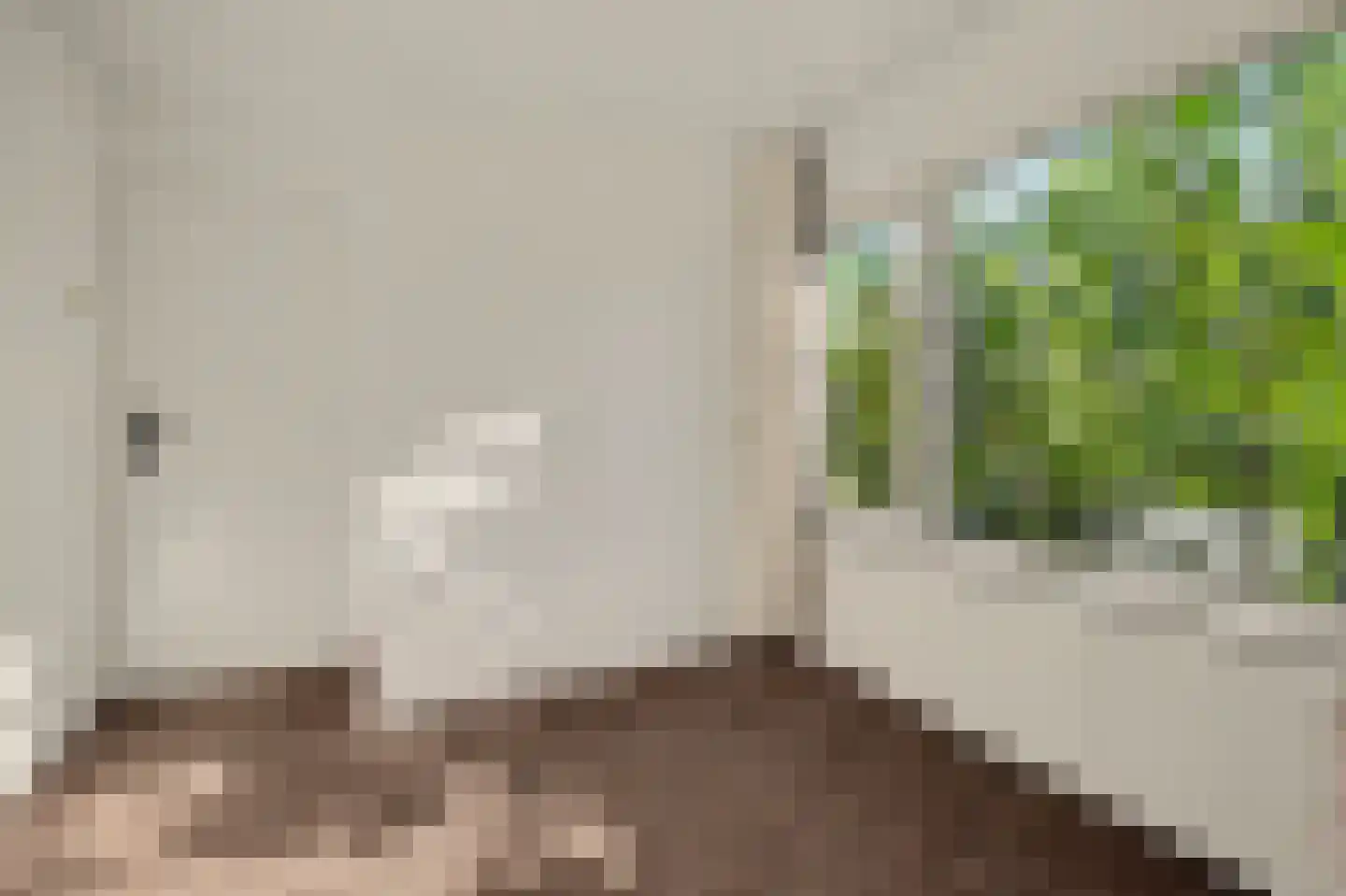 De Hoogstraat 4 Vlijmen thumbnail 28