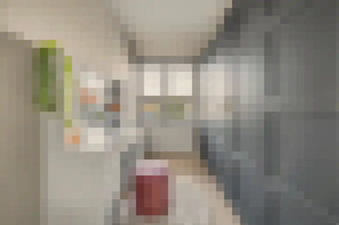 De Hoogstraat 4 Vlijmen thumbnail 29