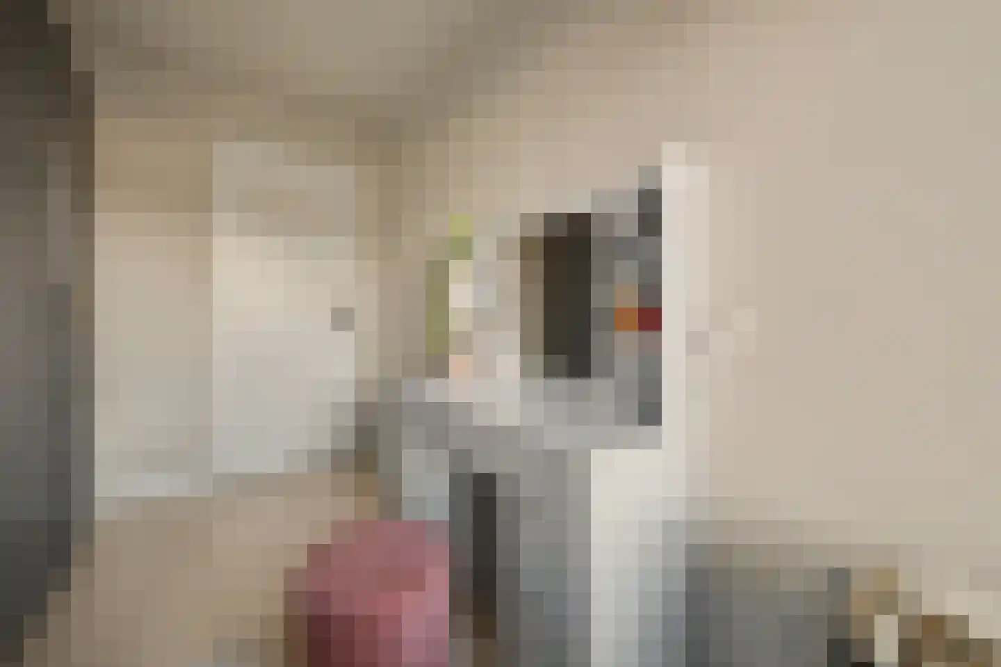 De Hoogstraat 4 Vlijmen thumbnail 30