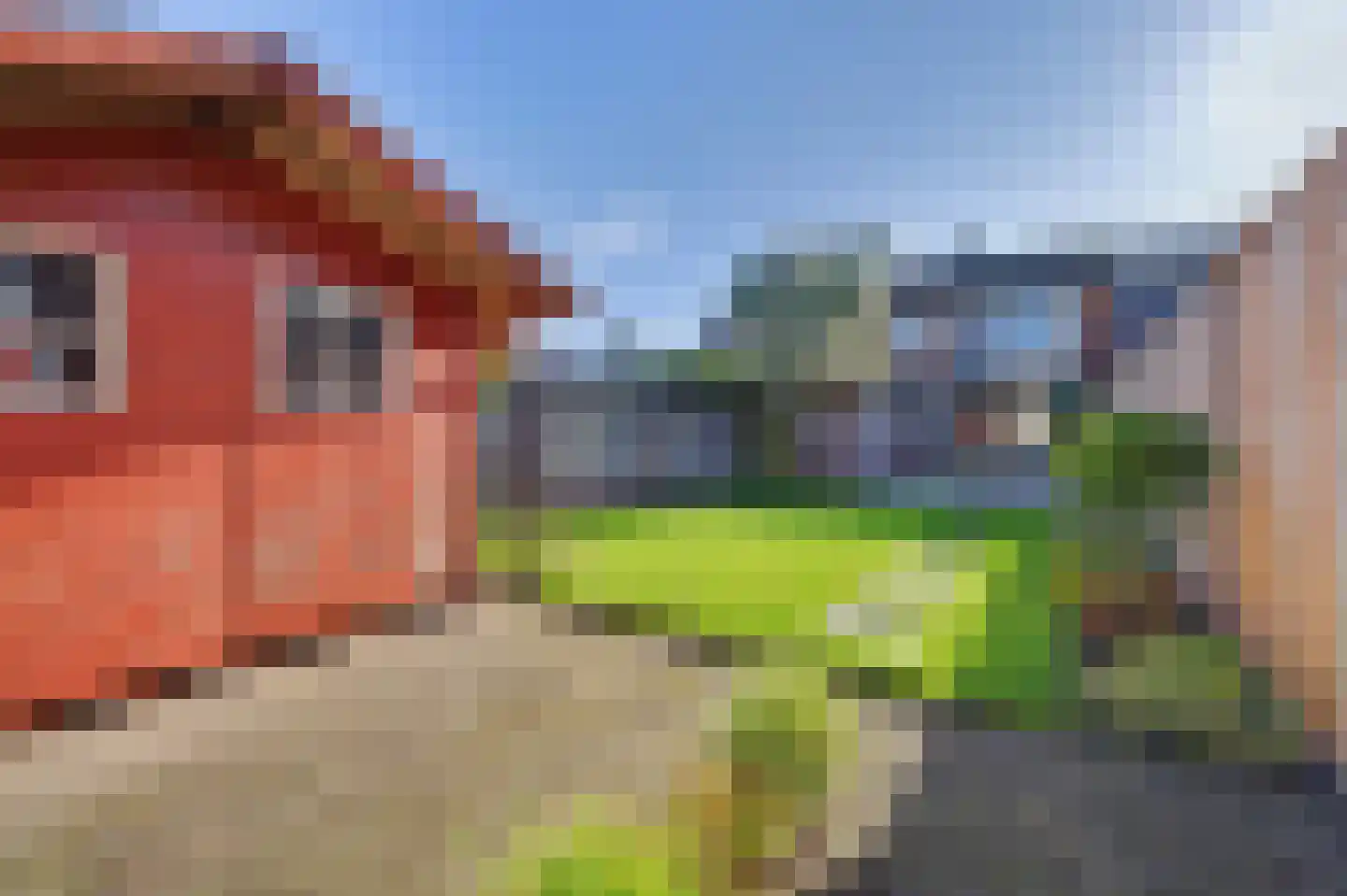 De Hoogstraat 4 Vlijmen thumbnail 34