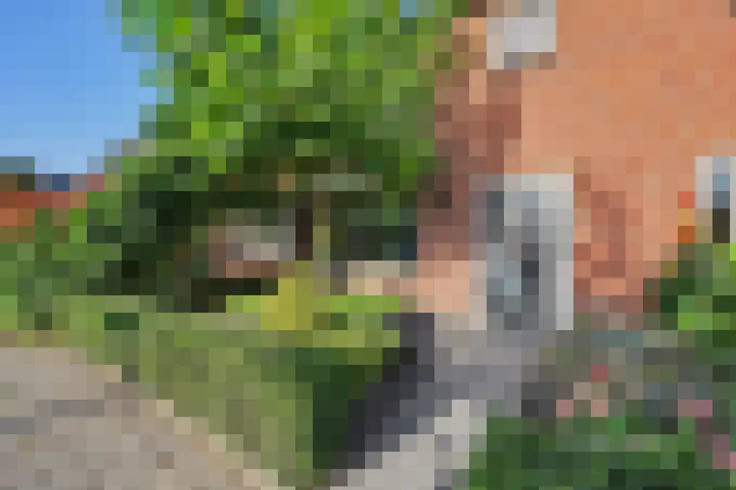 De Hoogstraat 4 Vlijmen thumbnail 49