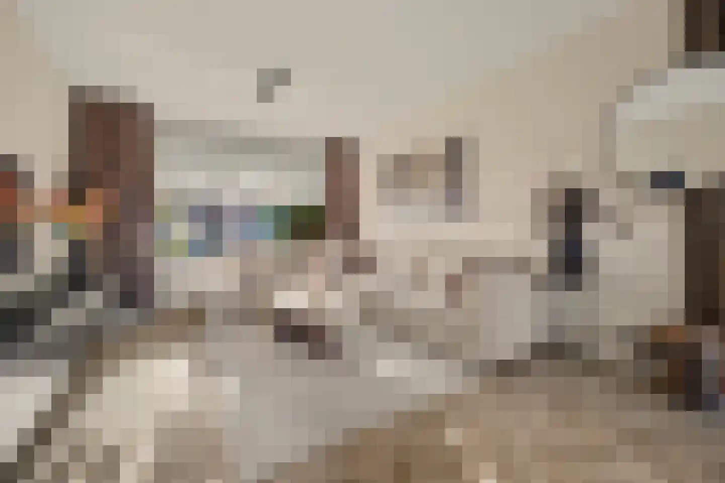 De Hoogstraat 4 Vlijmen thumbnail 5