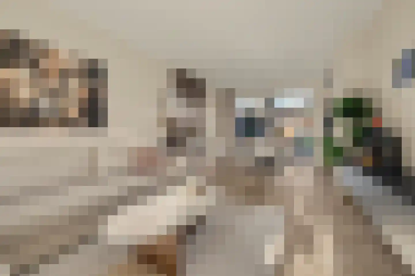 De Hoogstraat 4 Vlijmen thumbnail 6