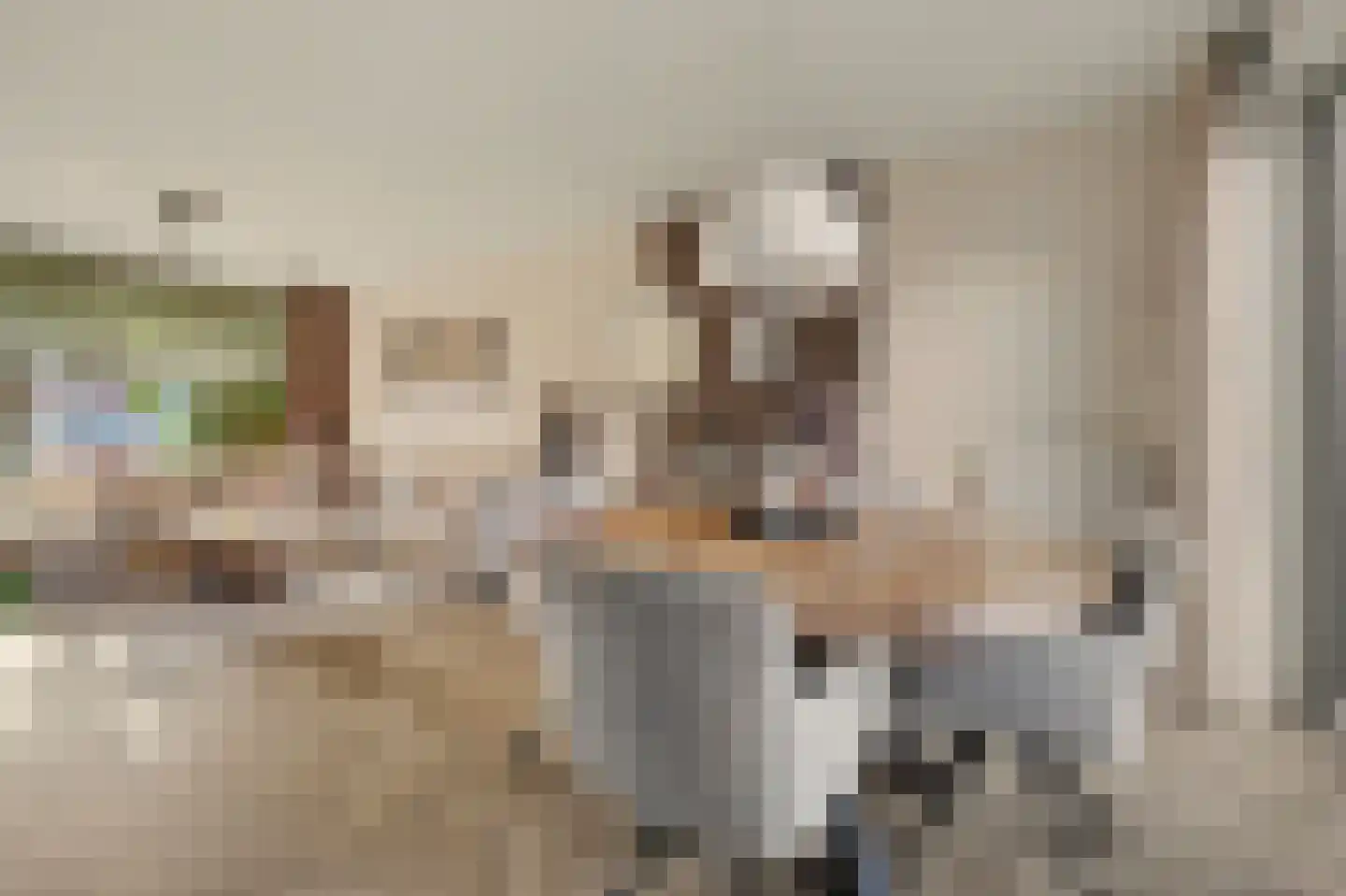 De Hoogstraat 4 Vlijmen thumbnail 8