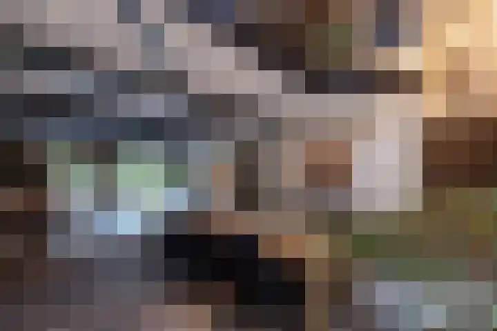 De Hoogt 2 Maarn thumbnail 13