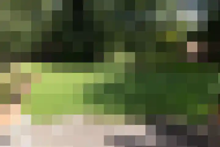 De Hoogt 2 Maarn thumbnail 51