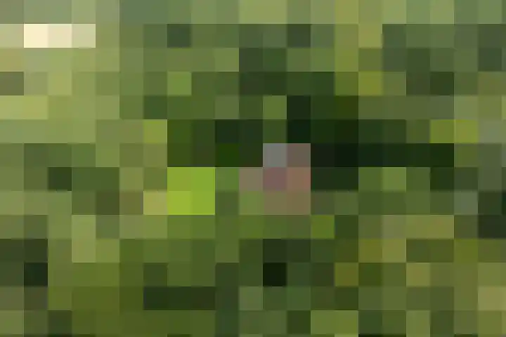 De Hoogt 2 Maarn thumbnail 7