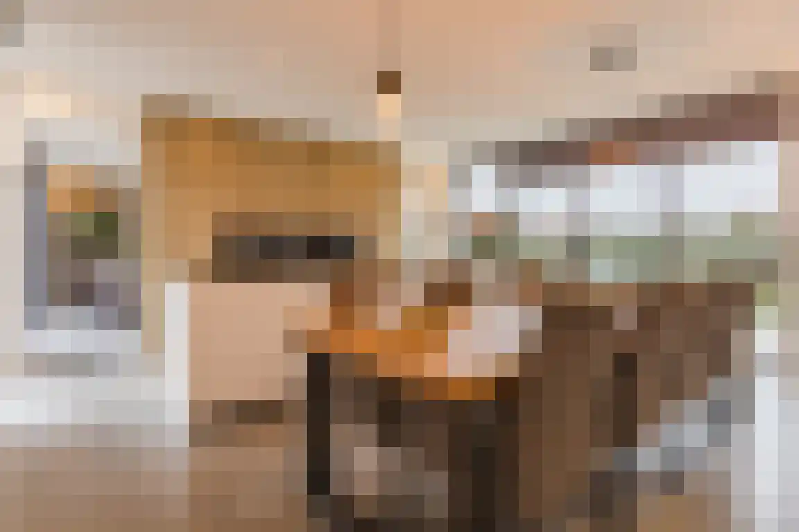 De Hoogt 22 Wouw thumbnail 10