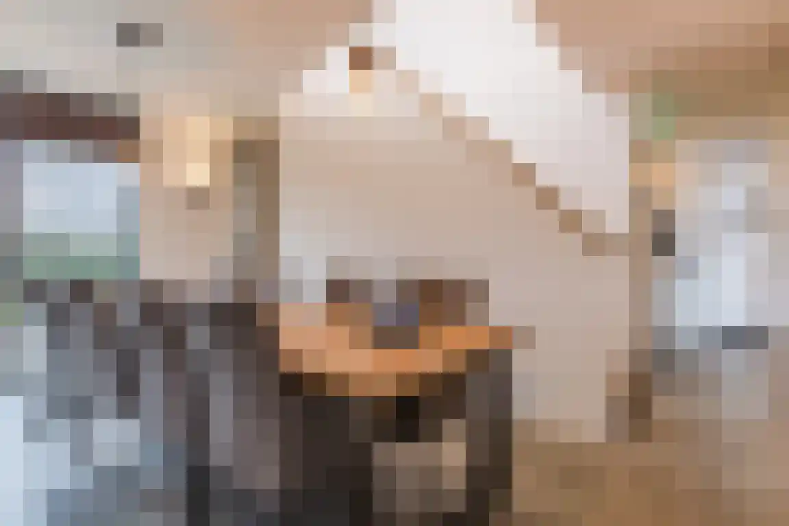 De Hoogt 22 Wouw thumbnail 12