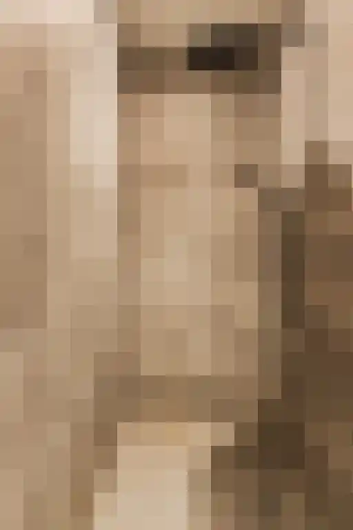 De Hoogt 22 Wouw thumbnail 18