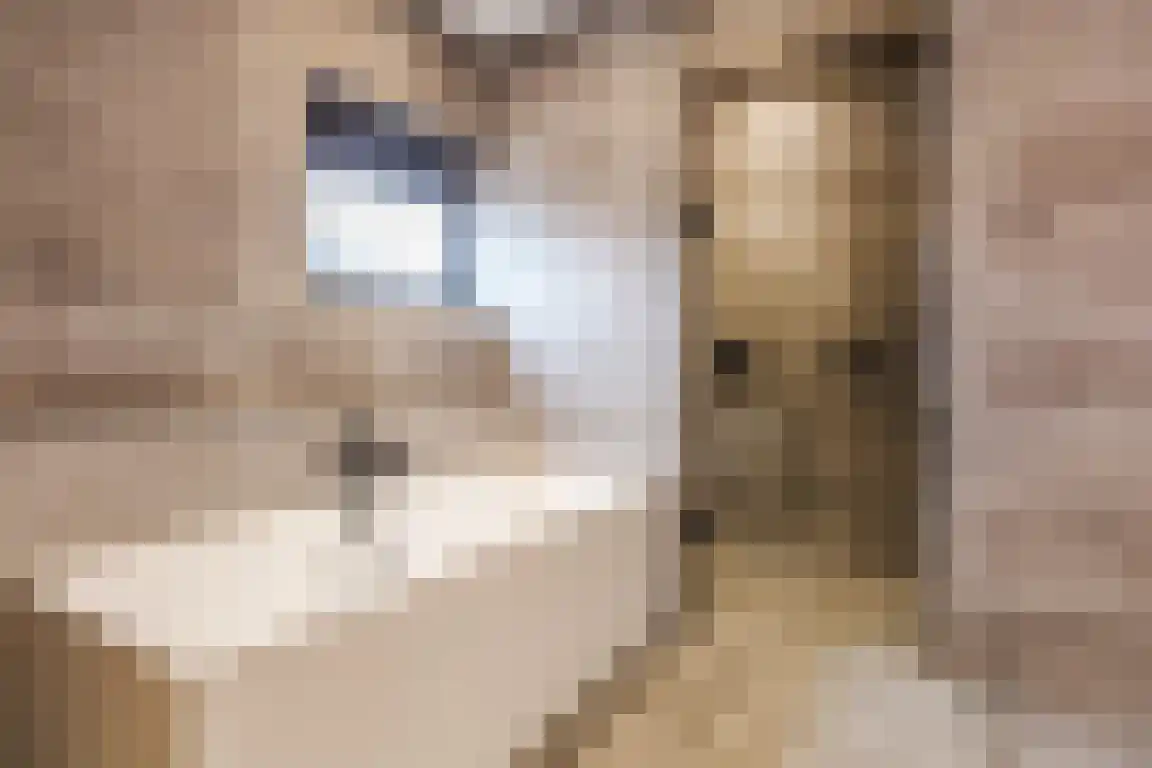 De Hoogt 22 Wouw thumbnail 34
