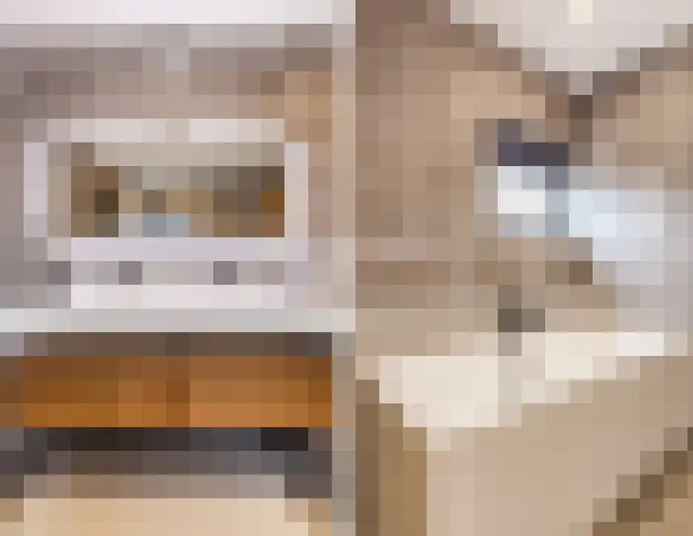 De Hoogt 22 Wouw thumbnail 35