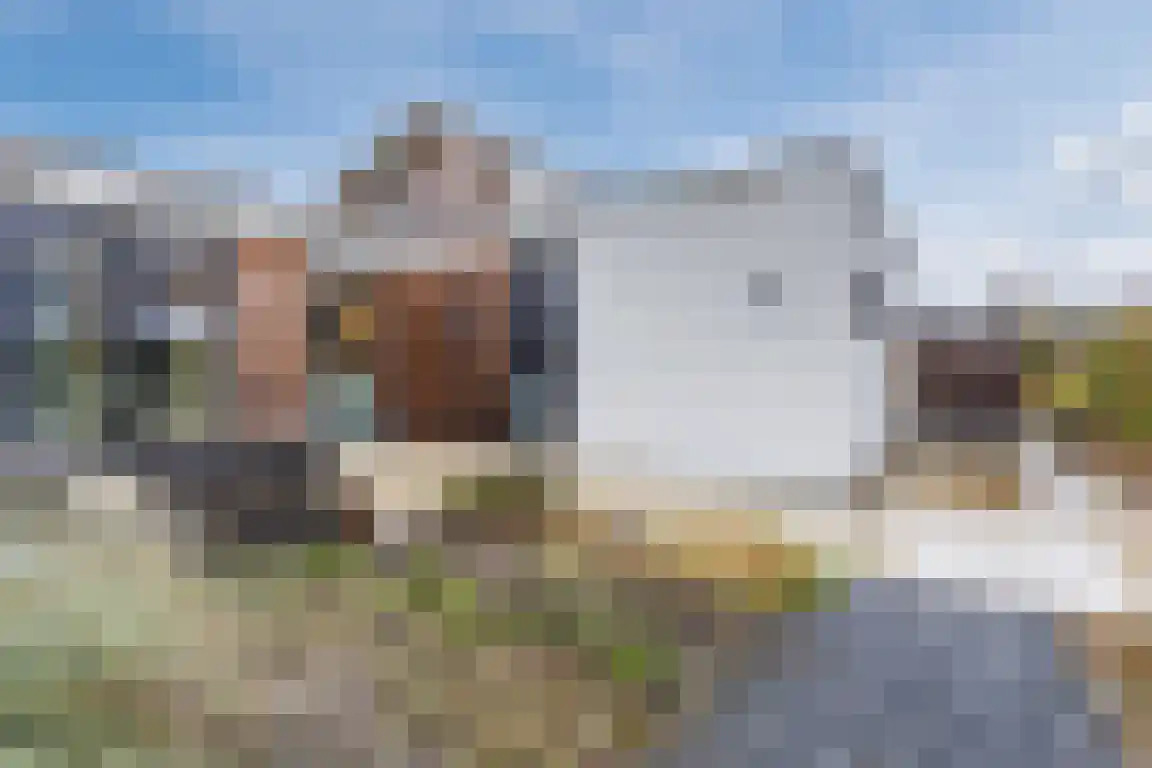 De Hoogt 22 Wouw thumbnail 44