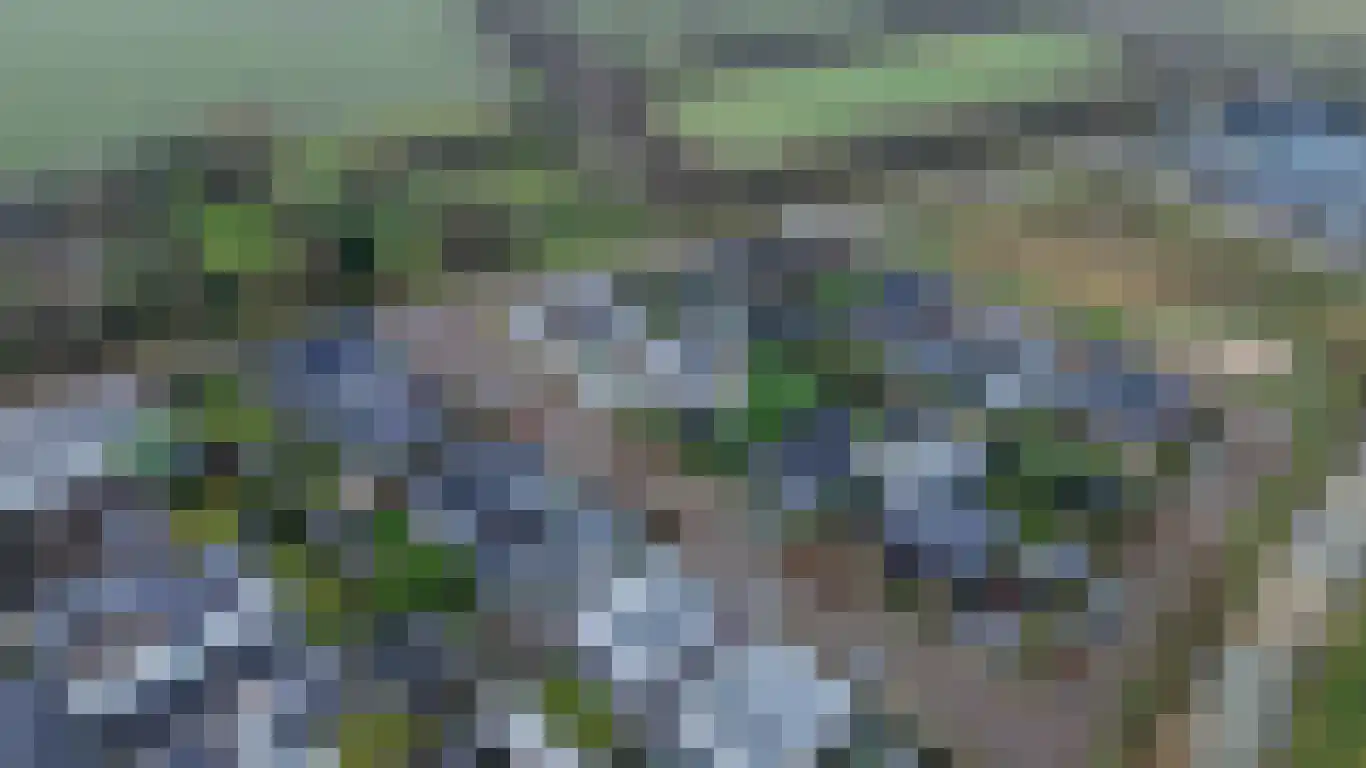 De Hoogt 22 Wouw thumbnail 58