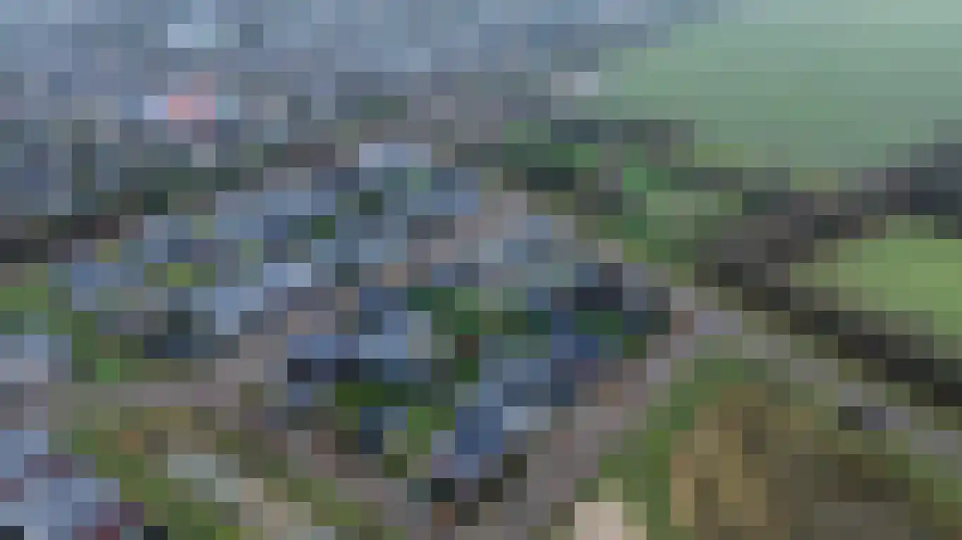 De Hoogt 22 Wouw thumbnail 59