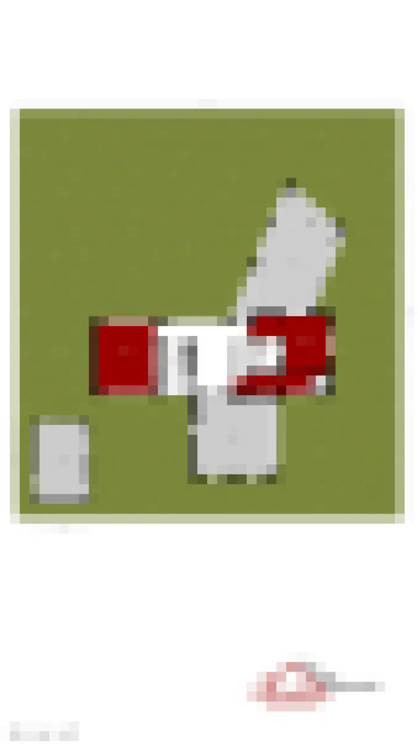 De Hoogt 22 Wouw thumbnail 64