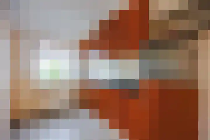 de Hoogte 11 Wagenborgen thumbnail 12